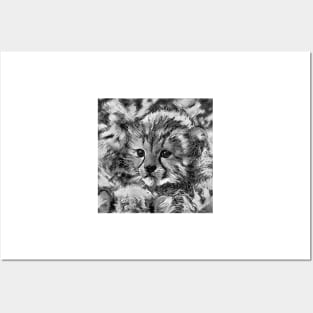 AnimalArtBW Cheetah 002 Posters and Art